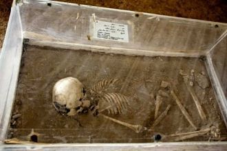 Останки человека найденные при раскопках