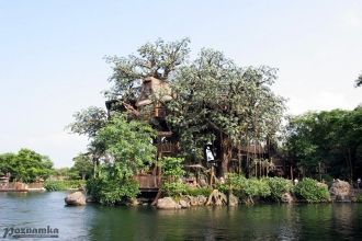 Зона Adventureland, главный аттракцион к