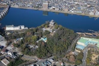 Замок Инуяма. Вид с высоты.