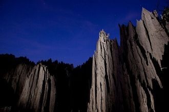 Полюбоваться на «Каменный лес» можно со 