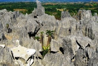 В Национальном парке растут нетронутые т