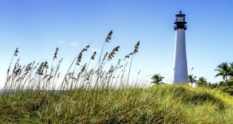 Маяк мыса Флорида.