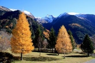 Национальный парк Экрен. Игра природных 