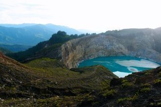 На территории парка представлены различн