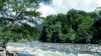 Флора Национального парка Лоренц предста