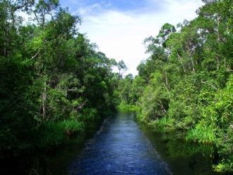 Большая часть территории парка Лоренц по