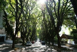 Прогулка по такому тоннелю — словно путе