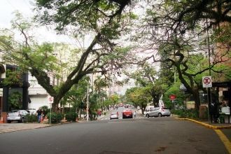 Взгляд «снизу вверх» дает несколько иное