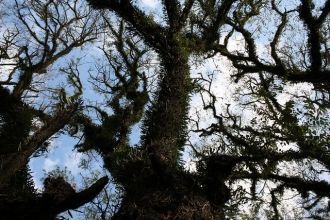 В 2005 году благополучие самой красивой 