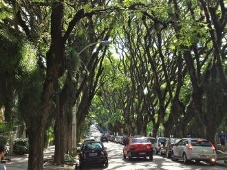 Руа Гонсалу де Корвальо делает казалось 