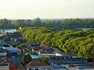 Благодаря типуанам улица приобрела некий