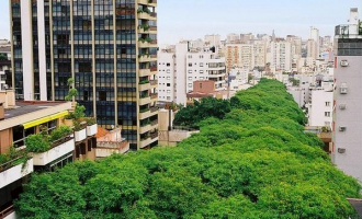 Самая зеленая улица планеты, безусловно,