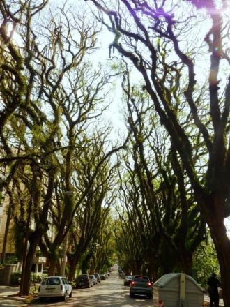 Также благодаря такой позиции местных вл