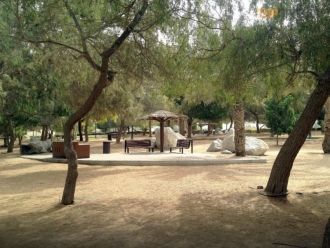 Парк предоставляет множество возможносте