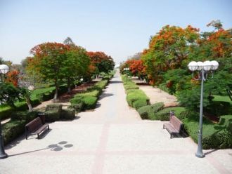 Для любителей покататься на скейте в пар