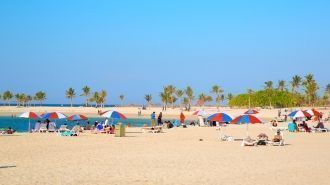 Парк Аль-Мамзар. Пляж парка.