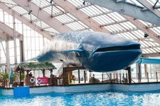 Тропические пейзажи в центре французской