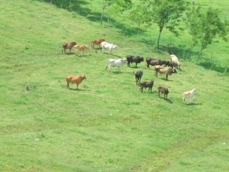 Архитектура городских районов, расположе