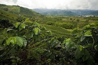 Сюда и приезжают совершающие туры в Колу