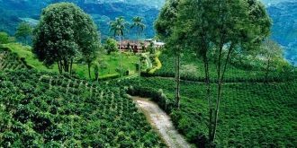 Кофейный культурный ландшафт Колумбии.