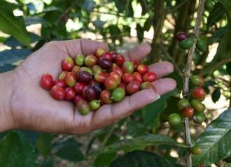 Является уникальным и представляет выраз