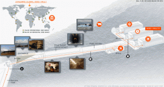 Полное официальное название данного прое