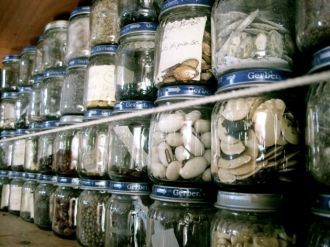 Всего по данным ООН в мире насчитывается