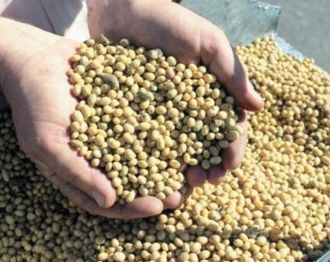 В том случае, если из строя выйдут холод