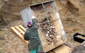 Раскопки на заднем дворе Хартхайма приве