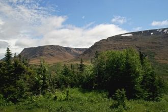 Национальный парк Грос Морн охватывает ч