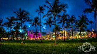 Набережная Оушен Драйв.