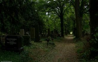 Строго соблюдается этот принцип и на Zen