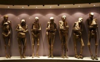 Всего в распоряжении музея 111 мумий, но