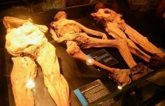 В залах музея находятся мумии людей разн