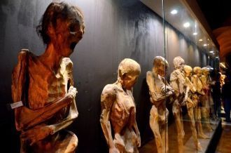 Каждый экспонат Музея мумий отражает жиз