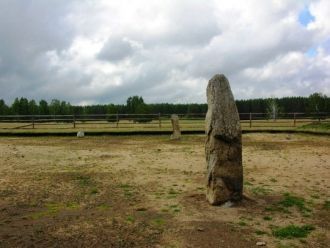 Восемь из них расположены по окружности.