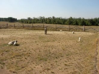 Археологи нашли в земле поблизости от ме