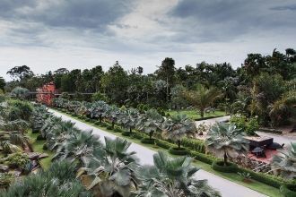 Это пополняемая уникальная коллекция пал