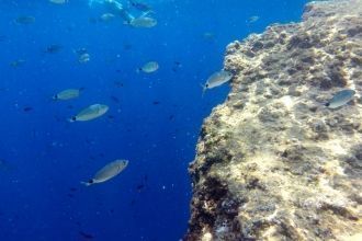Во время погружения в Национальном парке