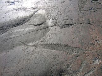 Онежские петрографы были открыты в 1848 