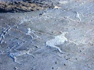 Знаменитый исследователь петроглифов Брю