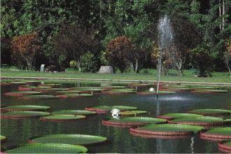 Также здесь открывается экспозиция герба