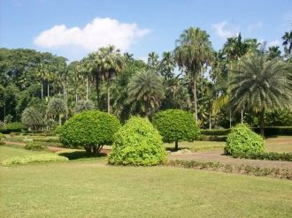 В 1959 году ботанический парк открывает 