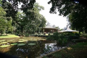 С истории Богорского ботанического сада 