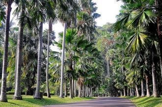 Вся площадь парка делится на части, таки