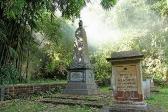 Представители растительного мира собирал