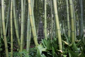 Бамбуковая роща сада Андре Хеллера.