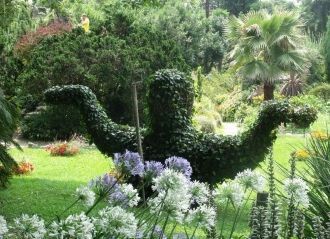 Настоящим украшением местности являются 