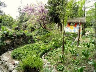 Среди бамбуковых зарослей восхитительно 