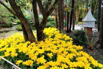 Приблизительно в 1901 году эту местность